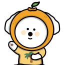 셀독24스터디카페제주삼화점 네이버블로그