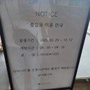 인피니티 패밀리 | 롯데리조트 속초 주니어패밀리스위트 인피니티풀 내돈내산 방문 후기