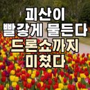영빈파크 | 괴산 빨간맛 페스티벌 2026 일정 출연가수 먹거리 주차 정보 한눈에