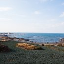 팜스빌리지 이미지