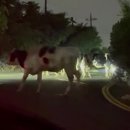 태학산로 이미지