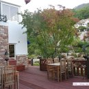 초원커피숍 이미지