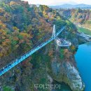 중간상사리 이미지