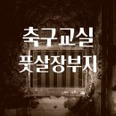 큐브 태권도장 이미지