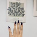 하나로3길 | 안녕 나 제주 또 왔어요 ㅎ 제주 여행 후기 끓여왔습니댱 (12/4~6)