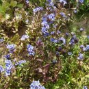 희정이네농장 이미지