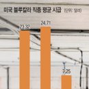 블루칼라