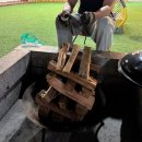 설레인 | 가평 애견동반 펜션 설레인 풀램핑 후기 가평펜션