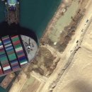 배들가축 이미지