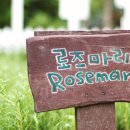 진소농장 이미지