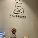 닥터서동물심장병원 | 심장병 재진-닥터서동물심장병원