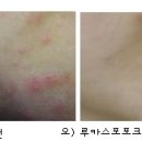 파파포포 이미지