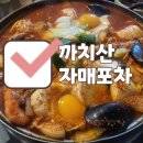 자매포차 이미지
