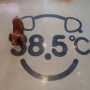 38점5도씨 이미지