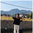 삼다연주
