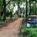 전재울근린공원 유아숲체험원 이미지