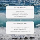레브뷰티 - 의정부시 | 광주 계림동 브라질리언 아이스쿨링 무통 찐 후기, 레브뷰티
