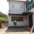 상희독스 아카데미 이미지