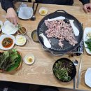 산호동231 이미지
