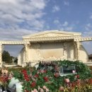 레드플라워(RED FLOWER) 이미지