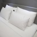 뉴로즈모텔 이미지