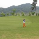 소피아그린 이미지