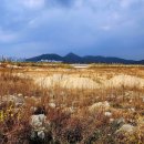 개발부담금 세종 행정사 사무소 이미지