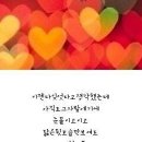 콩깍지 이미지