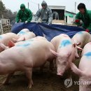 소보농장 이미지