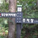 경남 거창군 가조면 (바리봉.장군봉) 산행 이미지