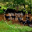 남부건강원