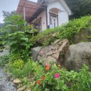 시내산펜션 이미지