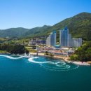 소노베스트 이미지