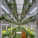 송우농장 이미지