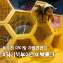 꿀벌PC | [동두천 아이랑 가볼만한곳] 경기북부어린이박물관 후기, 실내나들이로 공룡과 자연을 만나고 싶다면?