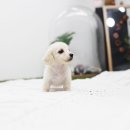 라펫
