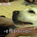 호야농장 이미지