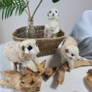 주주(ZOO ZOO) 이미지