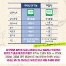 브리드엠 네이버블로그