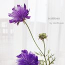 솔체공방