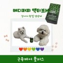 퍼피랜드 | {메디퍼피} 메디퍼피 액티브 M관절 슬개골 영양제, 근육 케어 플러스 급여 후기