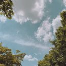 혁신농장 이미지