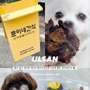 쿤이네 간식 이미지