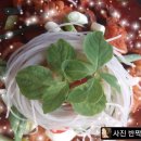 우수식당 - 도봉구 | 우수식당