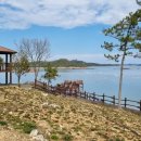 신동습지 이미지