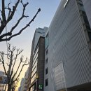 즐기는 특별한 저녁 호텔카푸치노 레스토랑 핫이슈 디너 후기ㅡ논현동 스테이크,파스타맛집,기념일맛집