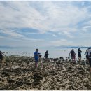 천일태권도장 이미지