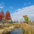 서울양천고성지 이미지