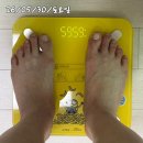 소사벌아이엠미술학원 | 마운자로 5mg 가격 효과 천연마운자로 67일차 -11.7kg