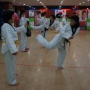 다이어트태권도장 이미지